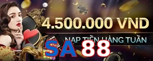 SA88